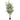 Emerald Árvore Artificial Eucalipto Em Vaso 140 Cm
