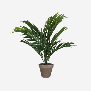 Dekopflanze Palme (45 x 60 cm)