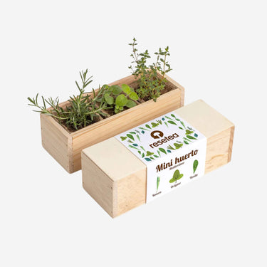 Aromatische Kräuter – Mini-Gartenbox