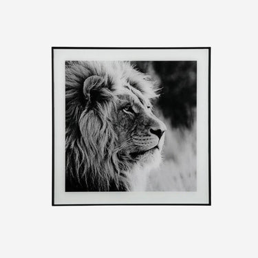 Tableau profil de Lion (2 x 50 x 50 cm)
