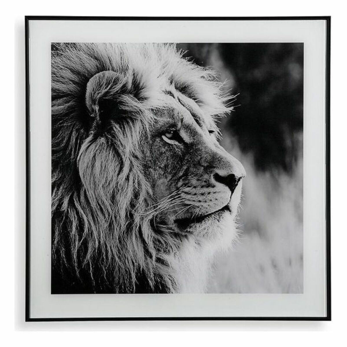 Painting Lion profile (2 x 50 x 50 cm)