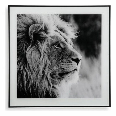 Tableau profil de Lion (2 x 50 x 50 cm)