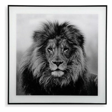 Pintura Leão (2 x 50 x 50 cm)