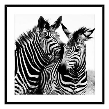 Pintura Zebra Cristal (2 x 50 x 50 cm)