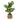Planta Decorativa con Jarrón de Cemento (15 x 52 x 15 cm)