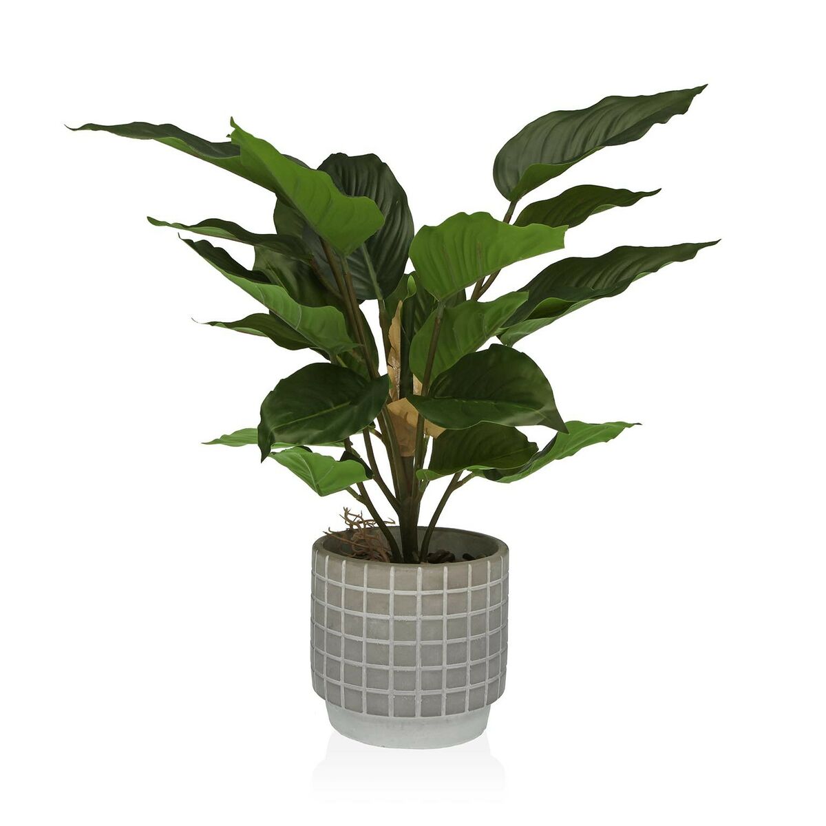 Decorative Plant with Cement Vase (15 x 47 x 15 cm)