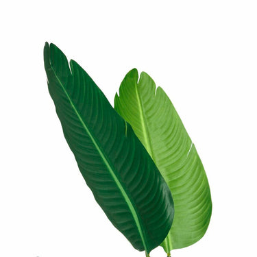 Decorative Plant PVC Iron Bird of paradise 150 cm