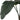 Dekopflanze Paradiesvogel (100 x 100 x 100 cm)