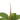 Dekopflanze Eiche (58 cm)