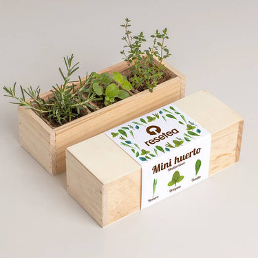 Frutteto Mediterraneo - Mini Box da giardino