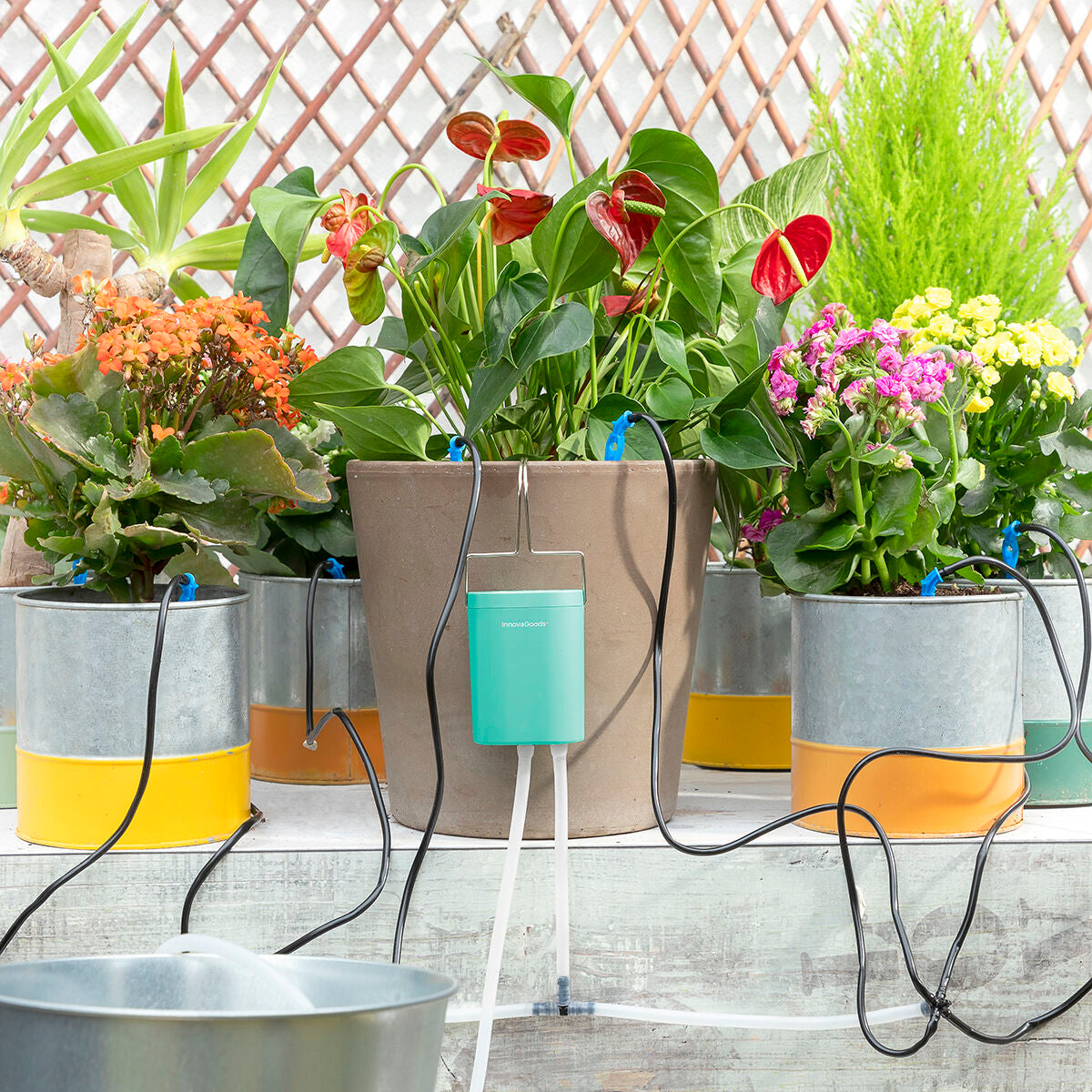 Automatic Drip Watering System for Plant Pots InnovaGoods